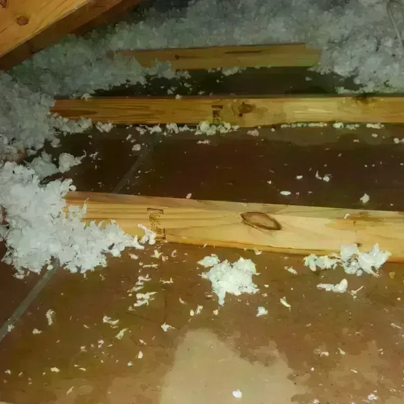 Attic Water Damage in Cienegas Terrace, TX